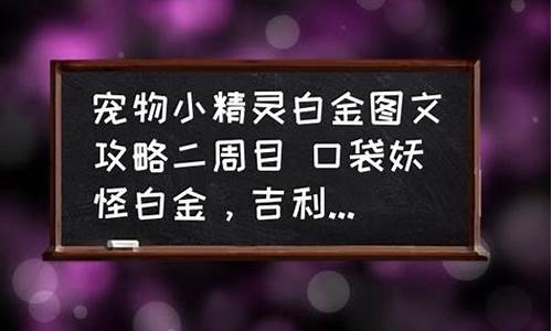 白金攻略二周目图文攻略_白金攻略一周目